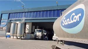 Crisis láctea: ARSA paraliza producción de yogures SanCor y profundiza la incertidumbre en el sector
