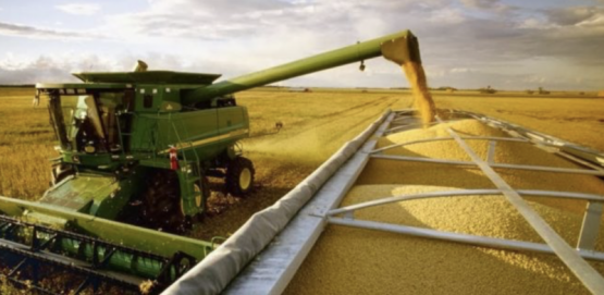Tensión en el agro: Milei baja retenciones a trigo y cebada, pero deja afuera a la soja 