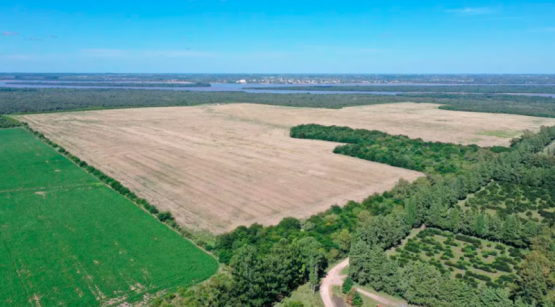 Hidrógeno en ebullición: Argentina y Uruguay reavivan la tensión por una planta frente a Colón