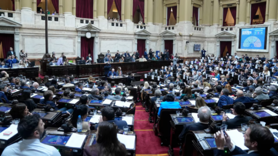  El oficialismo frena el debate sobre pediatría y universidades: se cae el quórum en Diputados