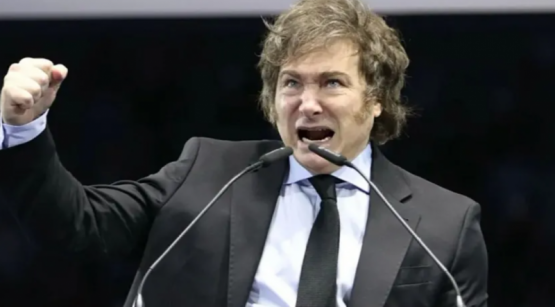 Milei respaldó la condena a Cristina: “La Justicia actuó” 
