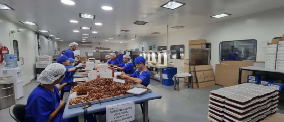ya son 47 los muertos por fentanilo contaminado del laboratorio HLB Pharma