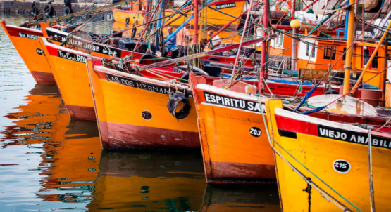 gremios y convenio hunden a 113 barcos y 5.000 empleos
