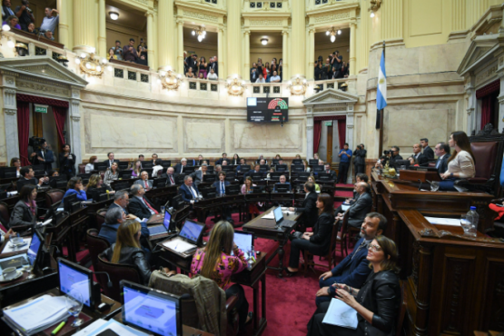 Ley jubilatoria en vilo: el Senado afila los cuchillos para el debate clave