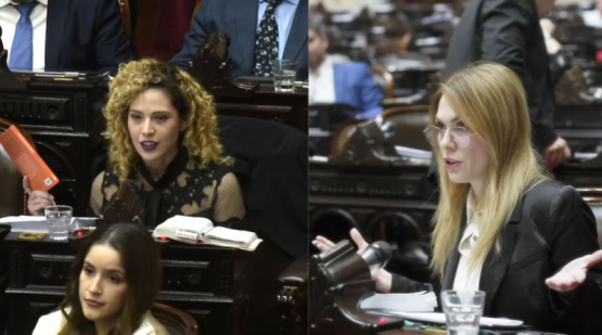 Lourdes Arrieta denunció amenazas de Lilia Lemoine tras la sesión