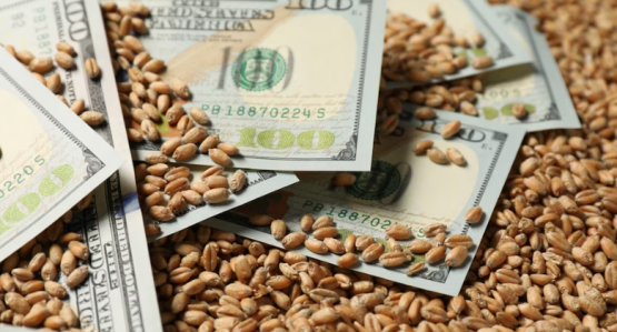 Récord histórico: el agro liquidó más divisas en 20 años