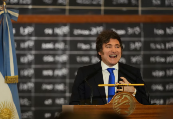 Milei abre la puerta a negociar vetos, pero exige impunidad electoral