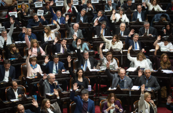 La oposición aprueba la emergencia pediátrica y desafía el ajuste en salud