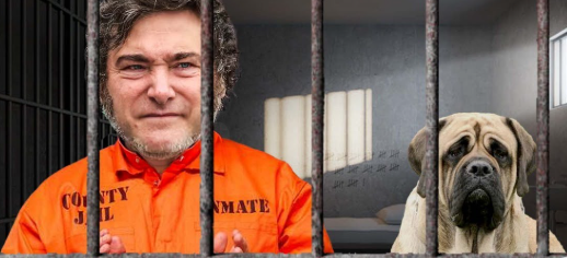 Casanello le tiró el código penal por la cabeza a Milei 